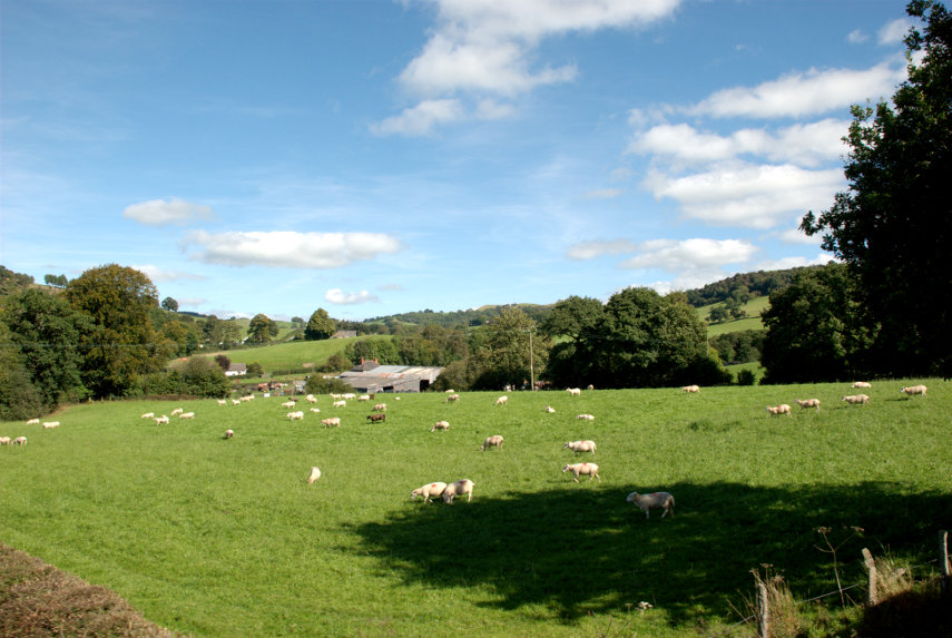 A rural view, Welshpool & Llanfair Railway, Welshpool, Mongomeryshire