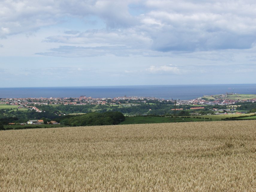 Whitby, Yorkshire, England, Great Britain