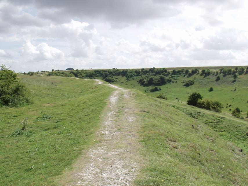 On St. Catherine's Hill, Winchester, Hampshire, England, Great Britain