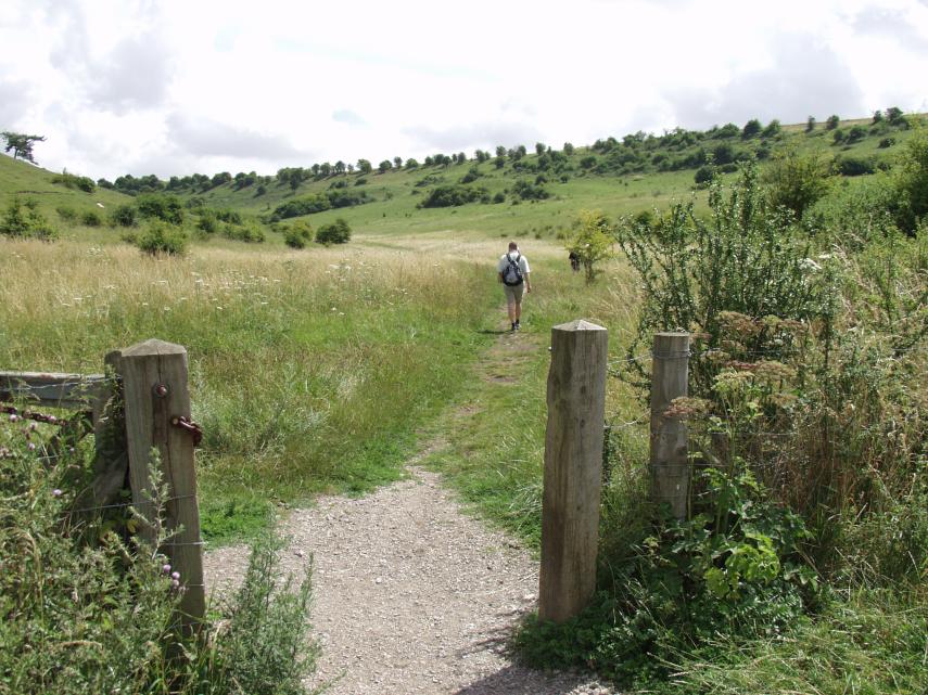 Scene showing footpath on St. Catherine's Hill, Winchester, Hampshire, England