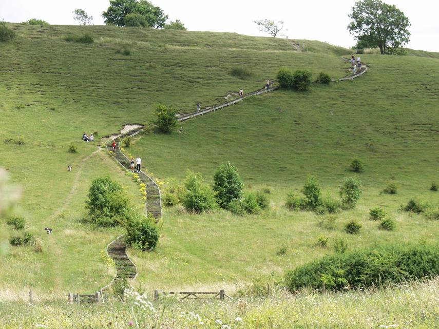 Scene showing footpath steps, St. Catherine's Hill, Winchester, Hampshire, England