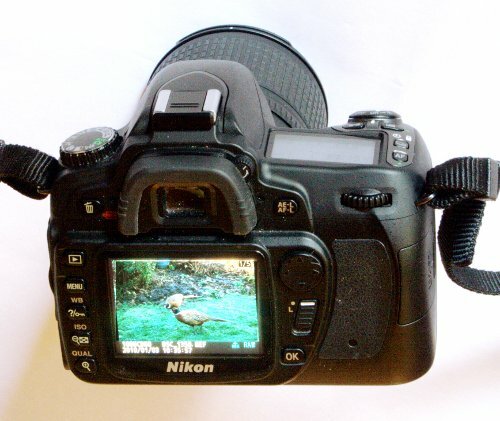 Nikon Digital Camera