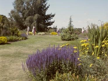 Scene showing Beth Chatto's Garden, Elmstead Market, Colchester, Essex, England