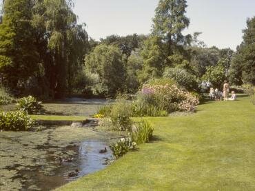 Photograph of Beth Chatto's Garden, Elmstead Market, Colchester, Essex, England