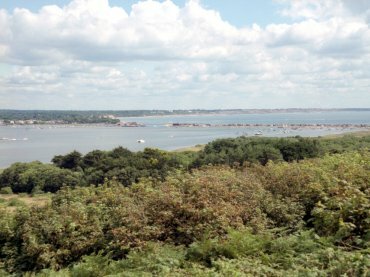 Photograph of Christchurch Harbour looking east, New Forest, Dorset, England