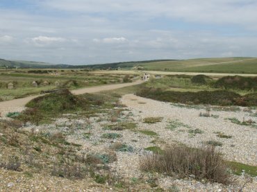 Scene showing the path to Cuckmere Haven, Sussex, England