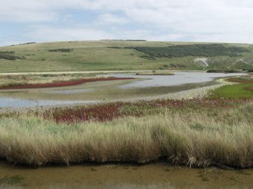A lagoon, Cuckmere Haven, Sussex, England