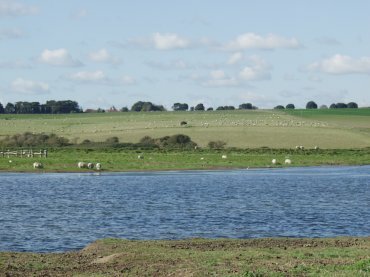 Scene showing the Cuckmere River below Exceat, Sussex, England