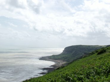 The cliffs, Fairlight, Hastings, Sussex, England, Great Britain