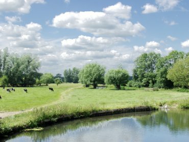 View from Flatford Bridge, Flatford, Suffolk, England