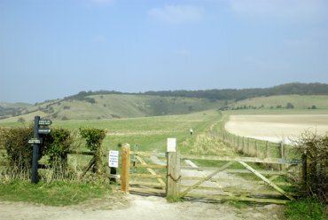 Photograph of the Chiltern Hills, Ivinghoe, Buckinghamshire, England