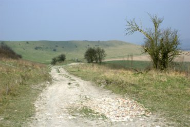 View of the Ivinghoe Beacon ridge, Ivinghoe, Buckinghamshire, England