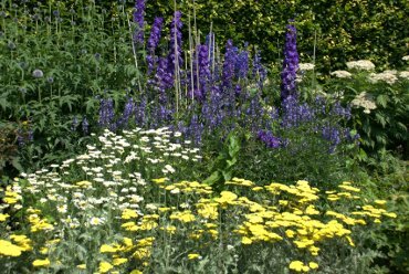 Herbaceous Garden, Anglesey Abbey, Cambridgeshire, England