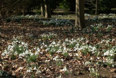 Winter Garden, Anglesey Abbey, Cambridgeshire, England