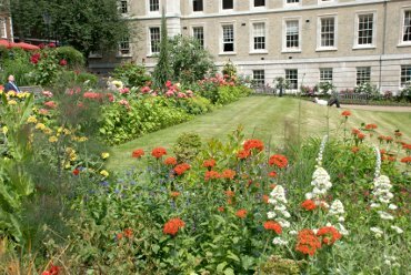 Photograph of flowers on the terrace, Inner Temple Gardens, London, England