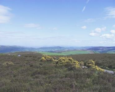 Picture of Exmoor between Winsford Hill and Dulverton from the B3223 road showing Heather and Gorse (Ulex europaeus)