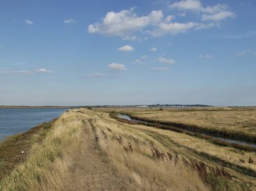 Picture of the Essex Marshes at Salcott, Essex, England