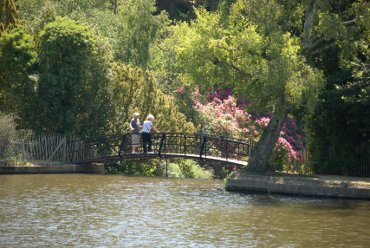 Scene showing the Cascade Bridge, Sheffield Park Gardens, Sussex, England