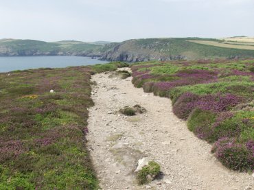 St. Justinian to Porth Clais, Pembrokeshire coast, St. David's, Pembrokeshire, Wales