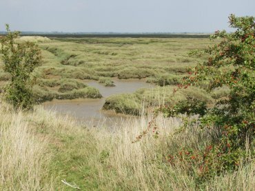 Picture of the Essex Marshes at Tollesbury, Essex, England